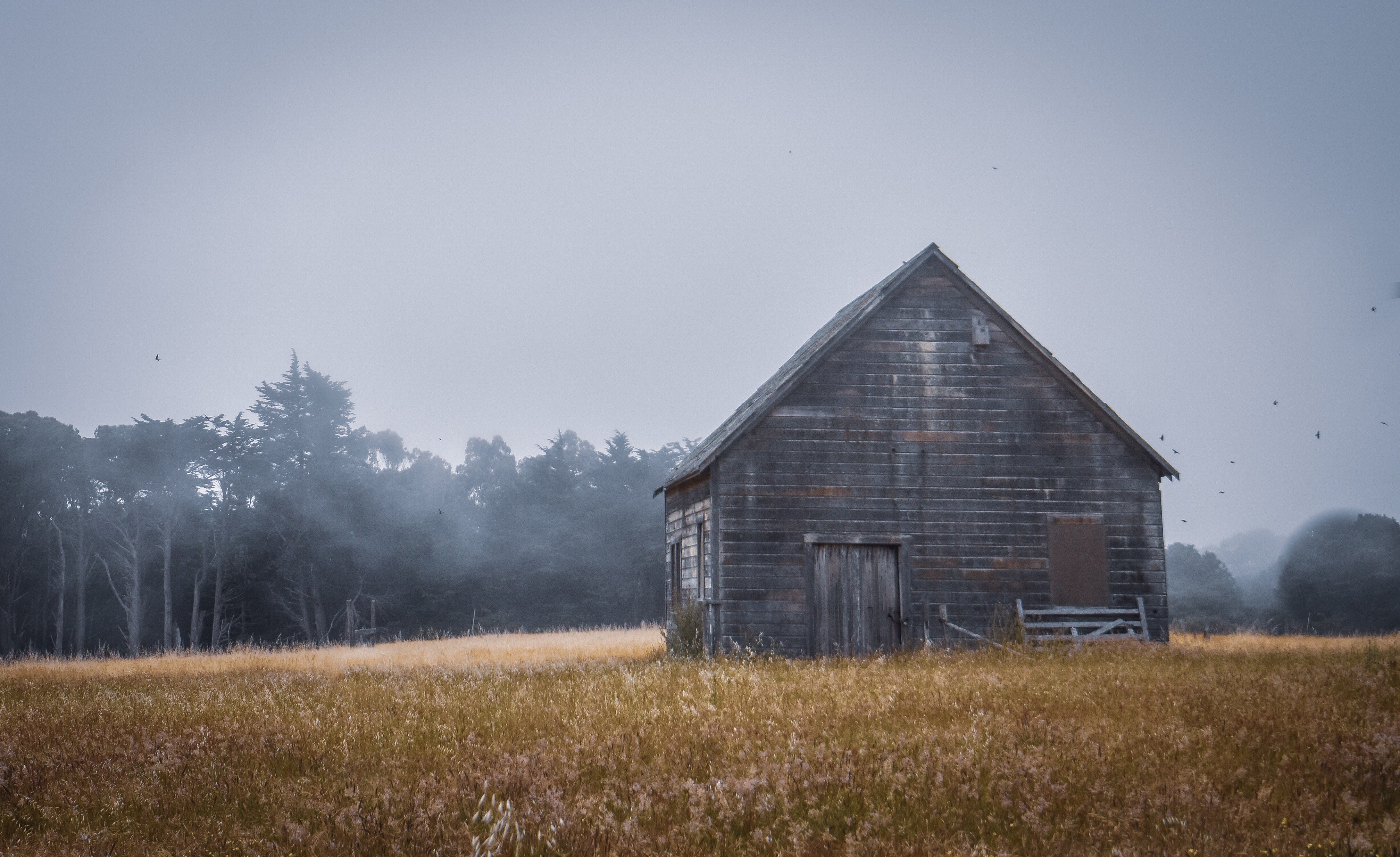 Photo Jul 01, 11 44 03 AM (1) Misty Morning