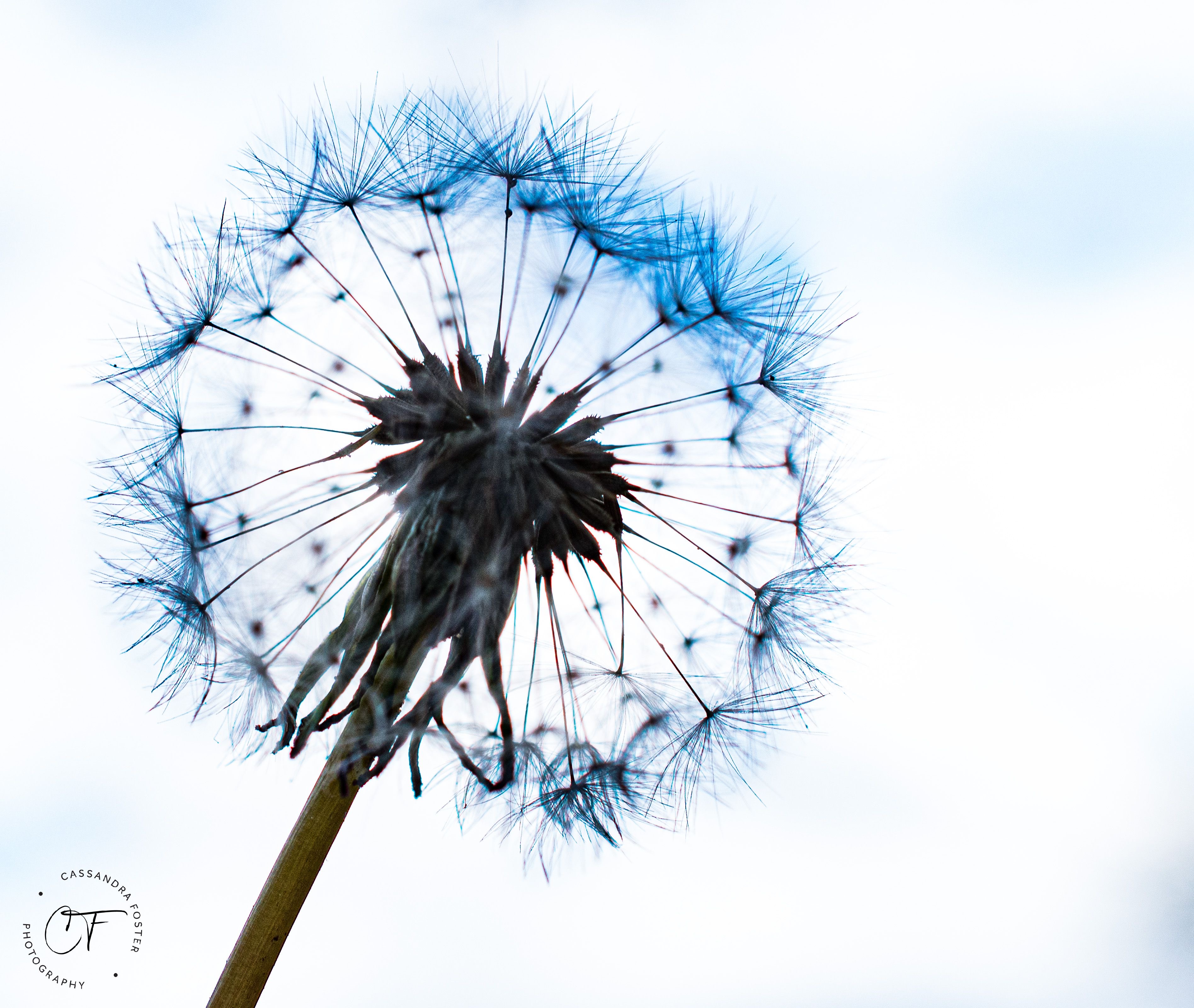 Photo Mar 17, 11 59 51 PM