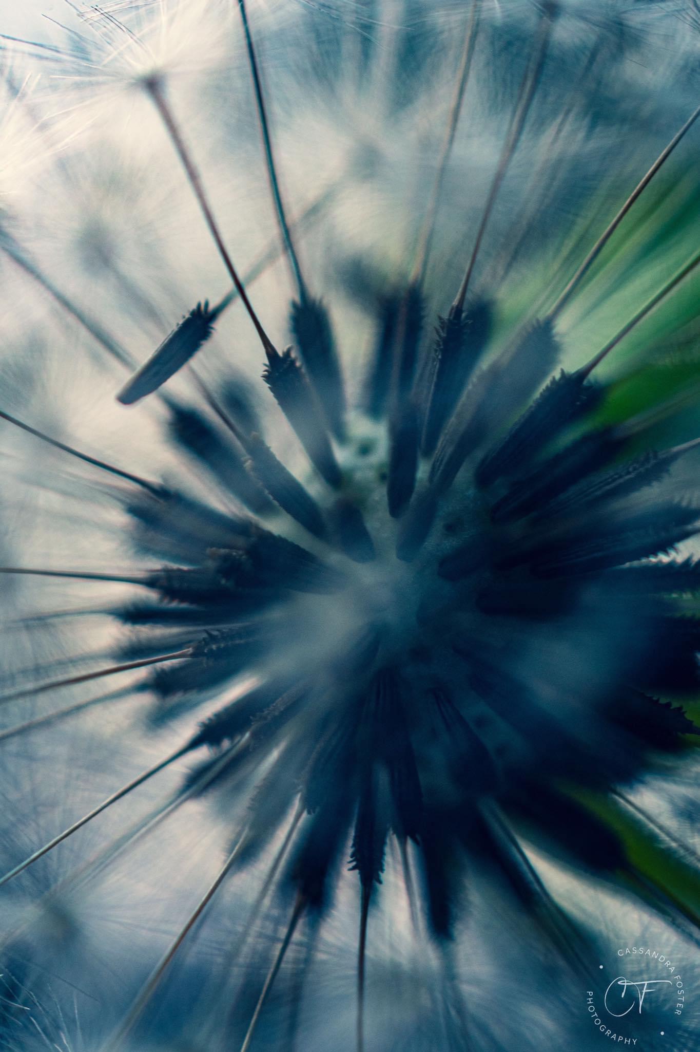 Photo Apr 10, 12 36 21 AM